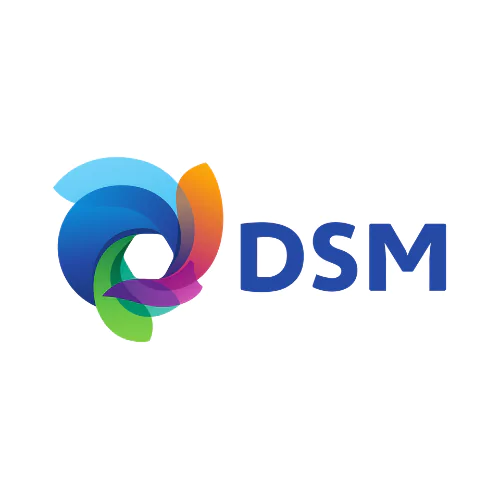 DSM Logo